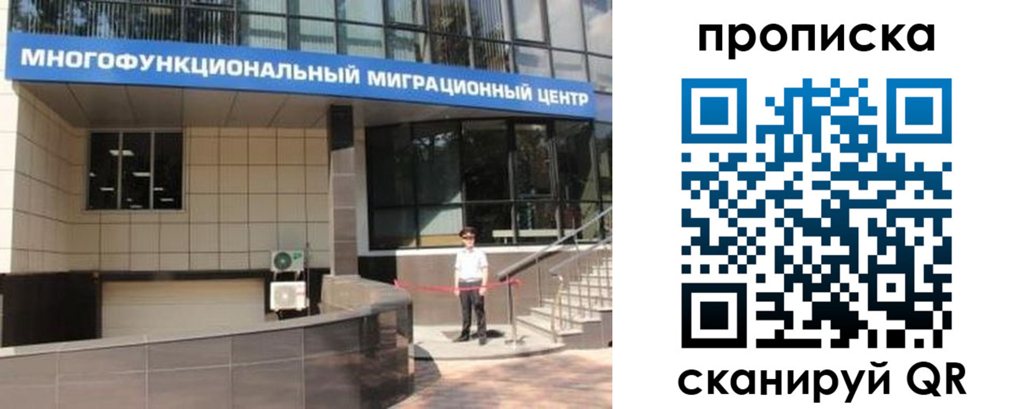 прописка штамп в Нелидово